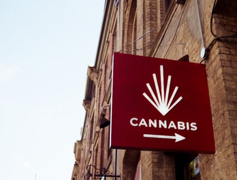 Authorities raid NY shops allegedly selling black-market Cannabis.jpg