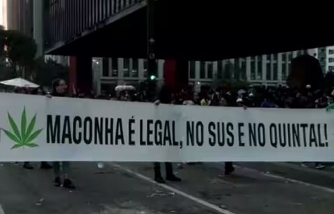 Brazilians protest to demand Cannabis decriminalization.jpg