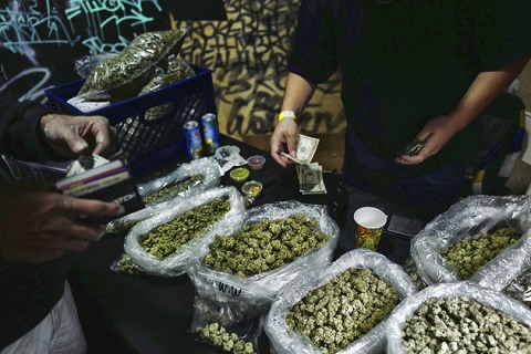 Cannabis Farmers Markets.jpg