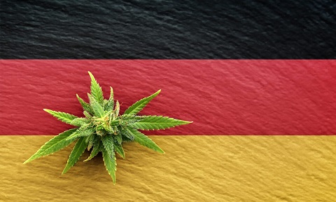 germany-cannabis-cudras-ir.jpg