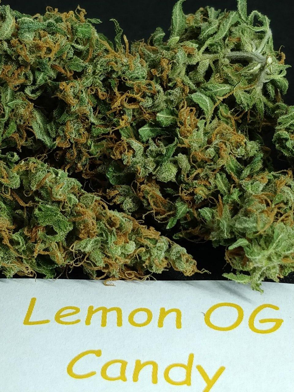 Lemon OG Candy.jpg