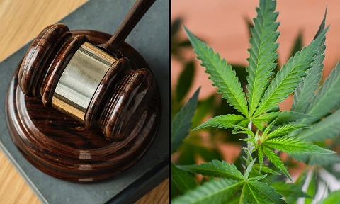 marijuana-legislation-bill-leaf-gavel.jpg