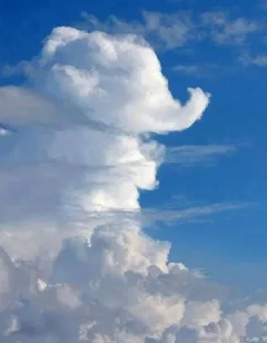 Screenshot 2023-04-25 at 12-54-55 облака необычные фигурки - Поиск в Google.png