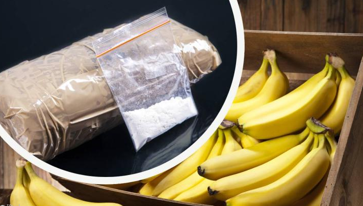 Screenshot 2023-05-21 at 15-53-52 УДАР Хванаха крупна пратка кокаин скрит в банани.png