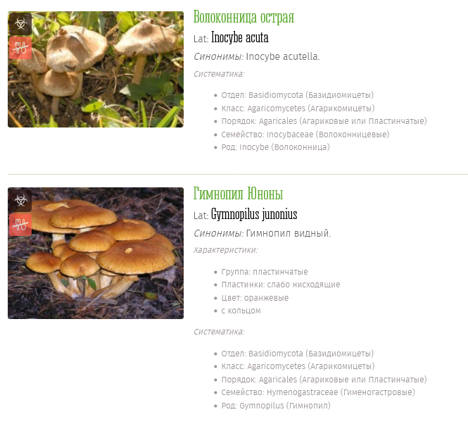 Screenshot 2023-05-25 at 20-22-21 Галлюциногенные грибы фото описания.png