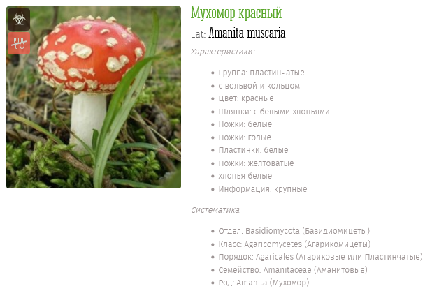 Screenshot 2023-05-25 at 20-23-01 Галлюциногенные грибы фото описания.png