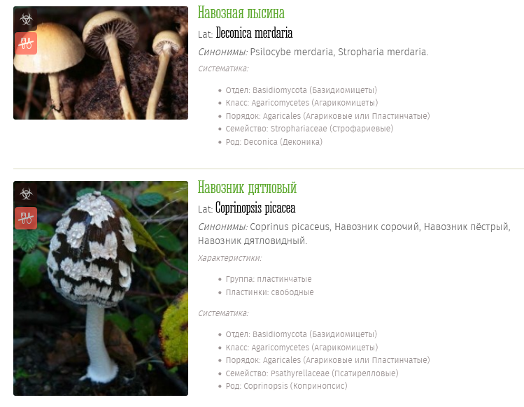 Screenshot 2023-05-25 at 20-23-14 Галлюциногенные грибы фото описания.png