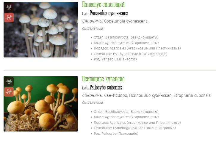 Screenshot 2023-05-25 at 20-23-49 Галлюциногенные грибы фото описания.png