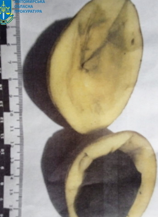 Screenshot 2023-06-14 at 10-57-37 Яблука з метадоном і картопля з димедролом у Коростені ув’яз...png