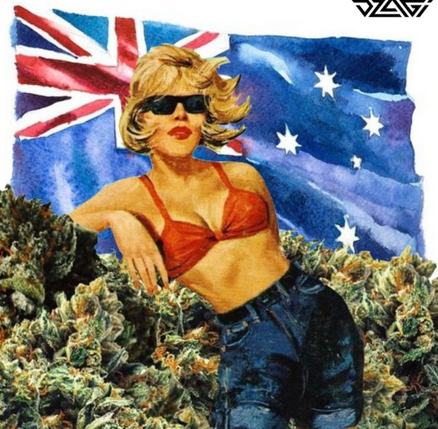 Screenshot 2023-06-29 at 15-48-26 Австралия партия Legalize Cannabis Party запускает законопро...png