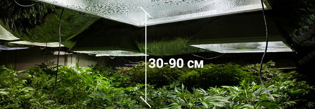 Screenshot 2023-07-26 at 11-50-35 Как определить расстояние от лампы до марихуаны.png