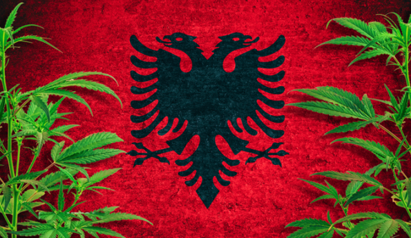 Screenshot 2023-07-27 at 19-24-42 Албания легализовала медицинский каннабис.png