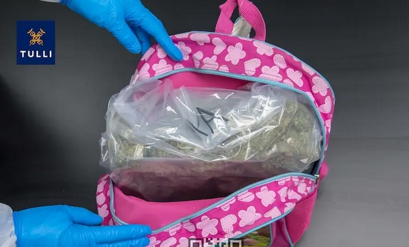 Screenshot 2023-08-02 at 12-50-57 В Финляндии в школьных рюкзаках обнаружили 100 кг каннабиса.png