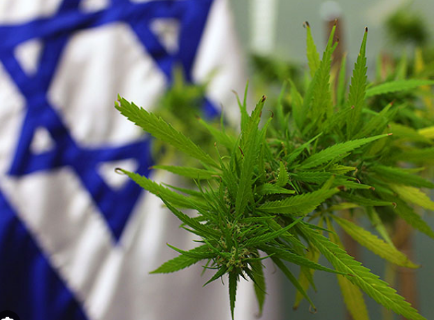 Screenshot 2023-08-21 at 11-28-22 израиль марихуана – Google Поиск.png