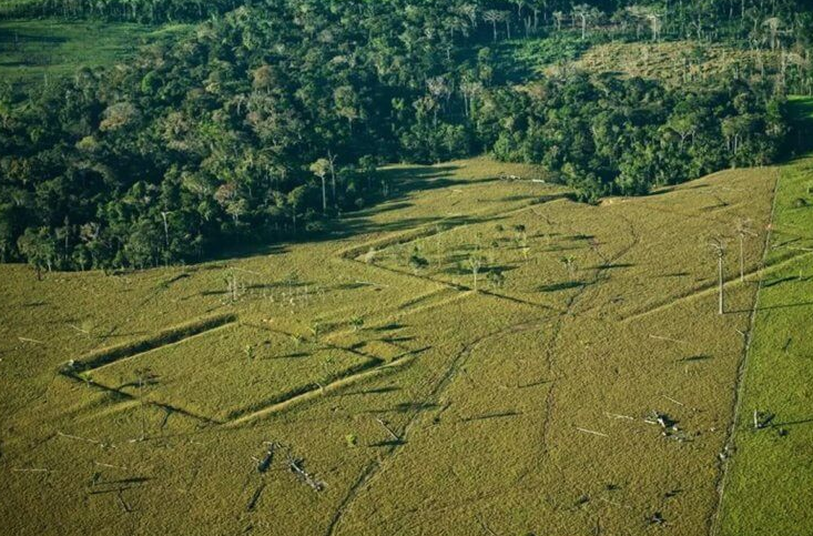 Screenshot 2023-10-11 at 14-18-20 В лесах Амазонки скрываются тысячи древних памятников — учен...png