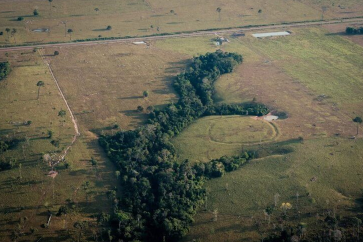 Screenshot 2023-10-11 at 14-19-25 В лесах Амазонки скрываются тысячи древних памятников — учен...png