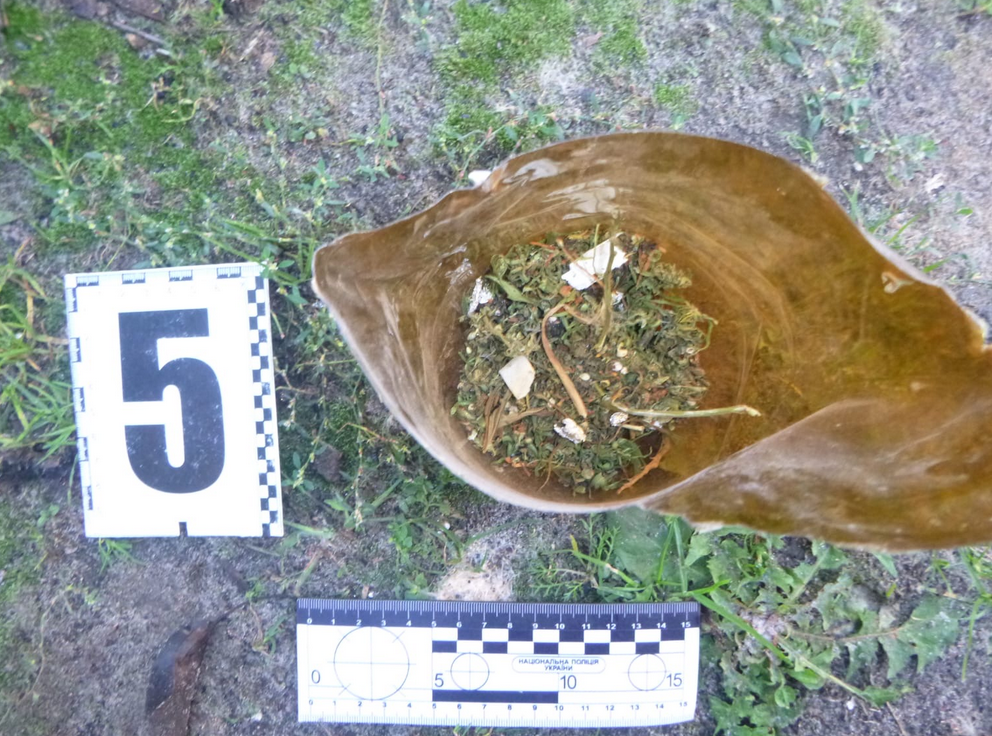 Screenshot 2023-10-15 at 14-04-21 У дворі мешканця Охтирщини виявили 13 рослин коноплі.png