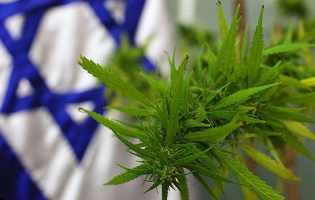 Screenshot 2023-11-09 at 16-37-24 Израиль марихуана – Google Поиск.png