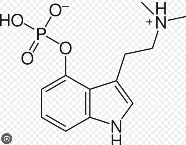 Screenshot 2023-11-14 at 12-45-10 псилоцибин лекарство – Google Поиск.png