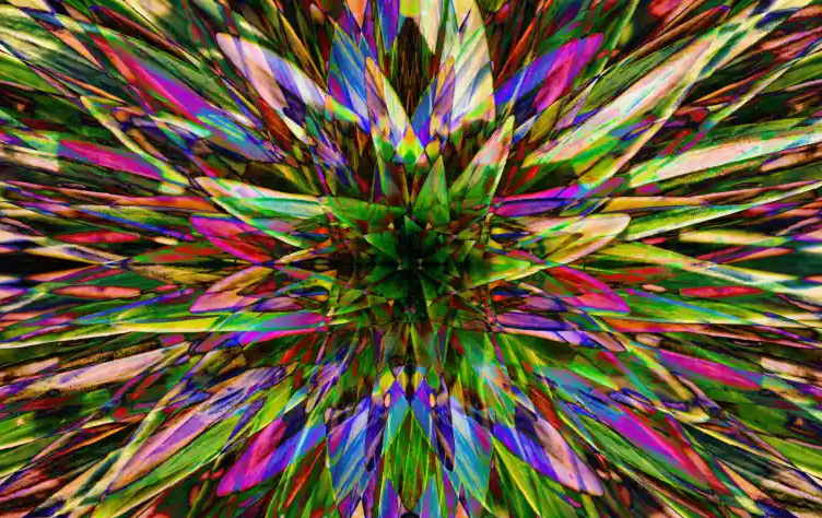Screenshot 2024-02-23 at 08-45-52 Does Cannabis Share Psychedelic Properties A Comparative Stu...png