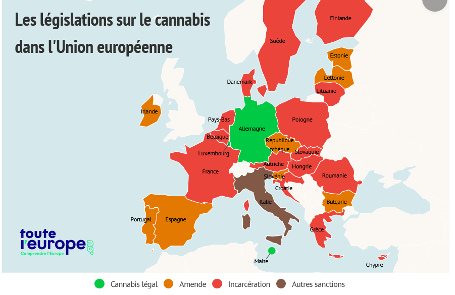 Les législations sur le cannabis dans l'Union européenne - T...png