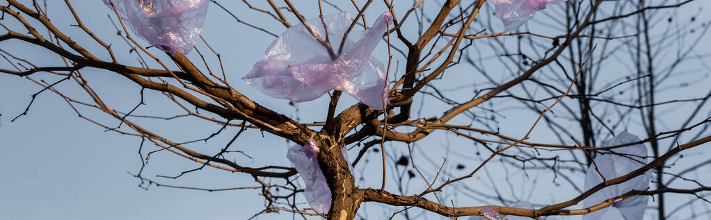 stock-photo-used-plastic-bags-tree-blue.jpg
