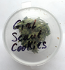 Girl Scaut Cookies.png
