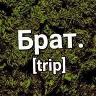 Bratowskiy_Trip